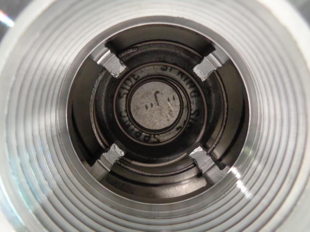 DFT 1.5" Threaded Check Valve #8373